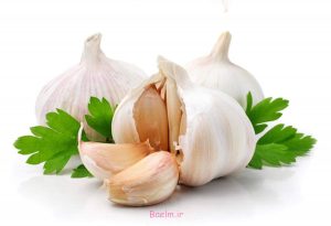 ayatmadari sir garlic 6 تاثیر گیاهان دارویی بر سلامت قلب انسان