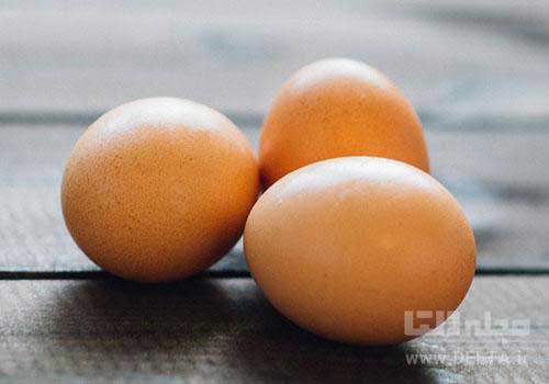 تخم‌مرغ یکی از غذاهای مفید برای استخوان