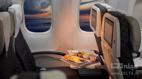 غذای-ممنوعه-در-هواپیما