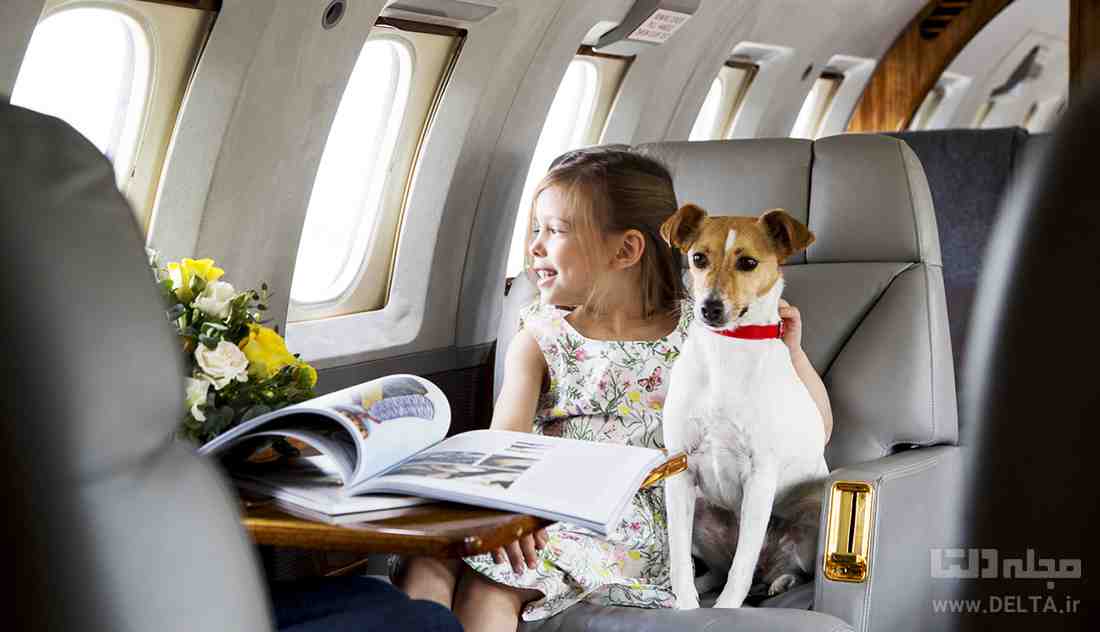 حمل حیوانات با هواپیما