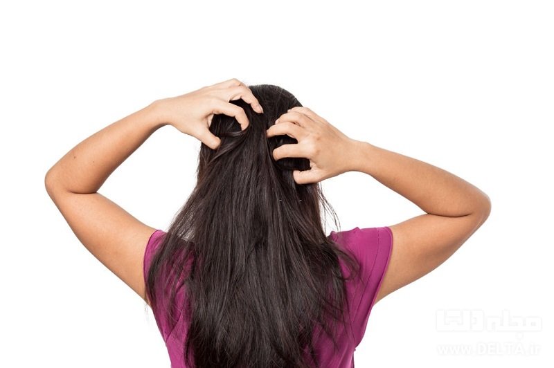 چند روش خانگی برای تقویت مو