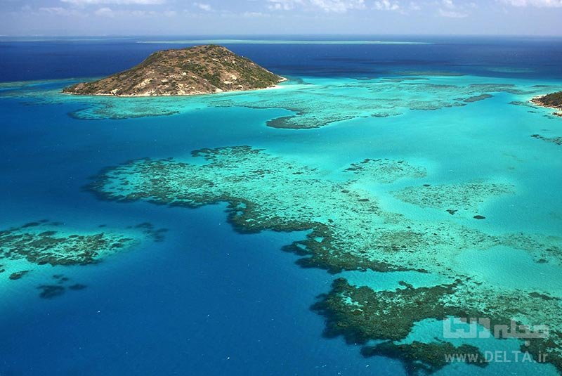 پارک دریایی دیواره بزرگ مرجانی جاذبه های گردشگری استرالیا