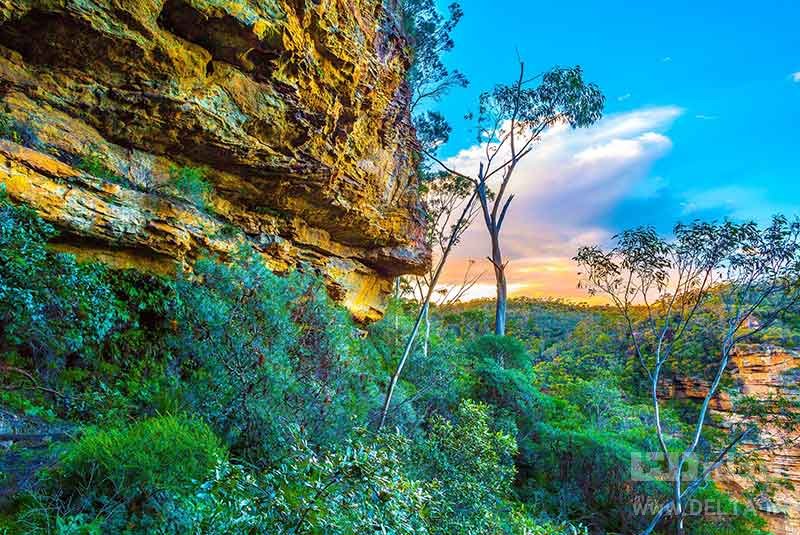 پارک ملی بلو ماونتنز جاذبه های گردشگری استرالیا