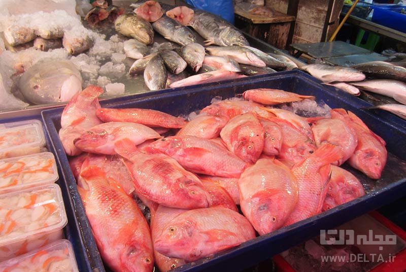 بازار ماهی ناکلوا جاهای دیدنی پاتایا