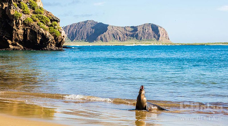 جزایر تماشایی گالاپاگوس زیباترنی جزایر دنیا