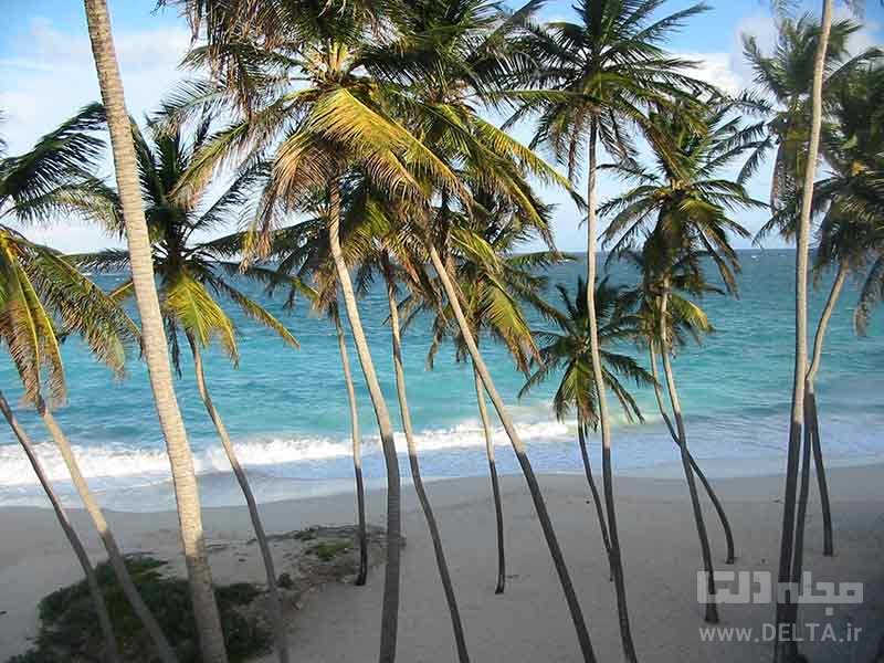 جزیره باربادوس