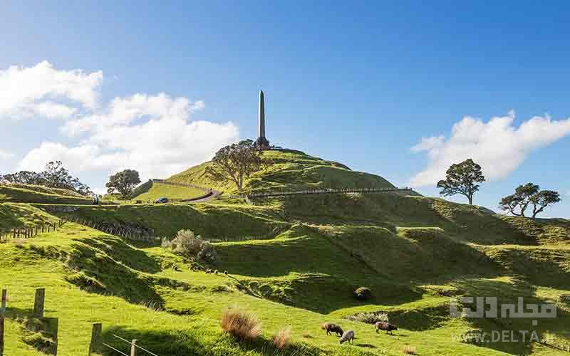 تپه وان تری نیوزیلند