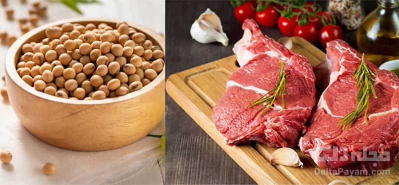 مقایسه گوشت با سویا