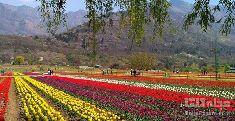 محلات، هلند کوچک ایران