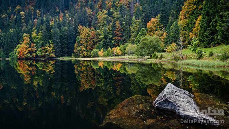 جنگل سیاه آلمان از جنگل های زیبا و شگفت انگیز جهان