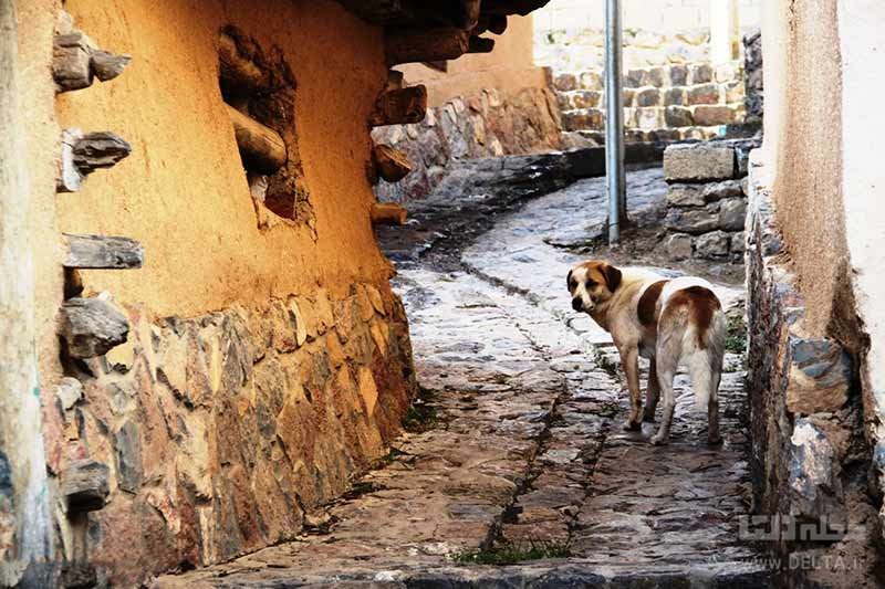 معماری روستای کندلوس در نوشهر