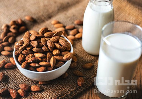 almond almond milk bottle 1446318 تلگرام