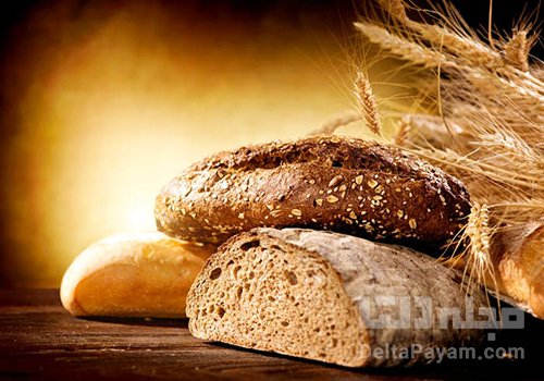 foodsci bread2 پیش نویس مطالب تلگرام