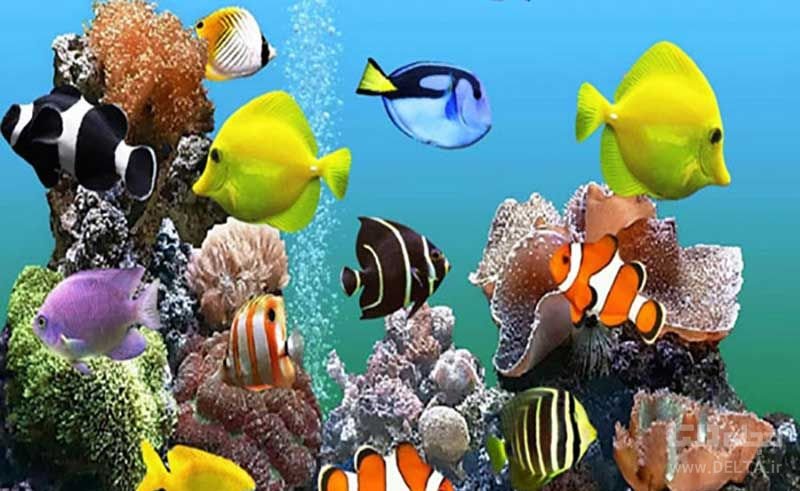 دانستنی های جالب از آبزیان