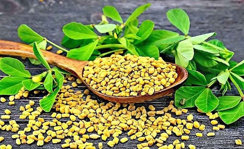 خواص شنبلیله برای دیابت