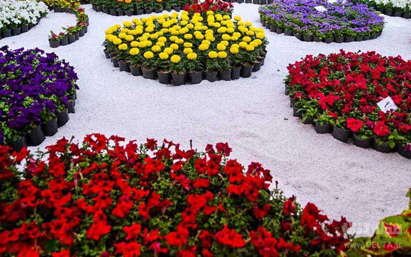  شهر گل‌های ایران