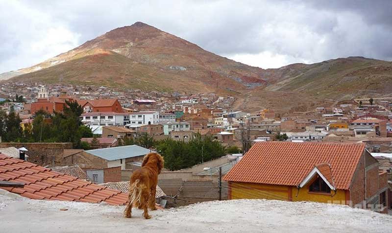  بولیوی 