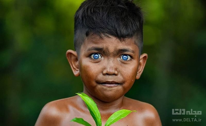 رنگ چشمان اعضای یک قبیله