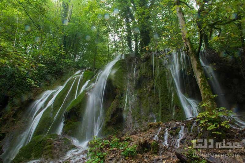 sfvd جنگل سنگده، بهشت پاییزی در قلب مازندران