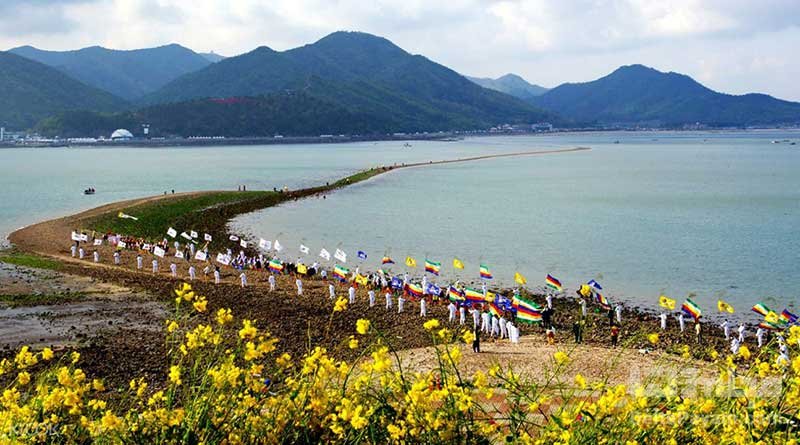 جزیره جیندو در کره جنوبی