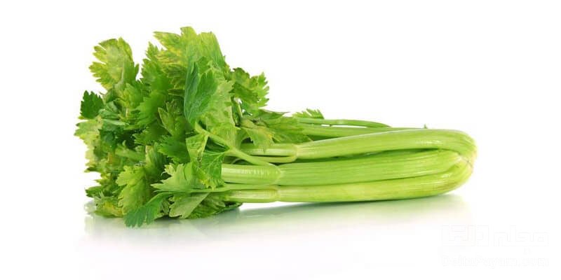 برگ کرفس مفید سبزیجات