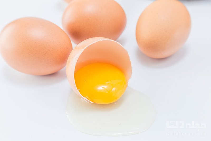 تخم مرغ و آلرژی زا