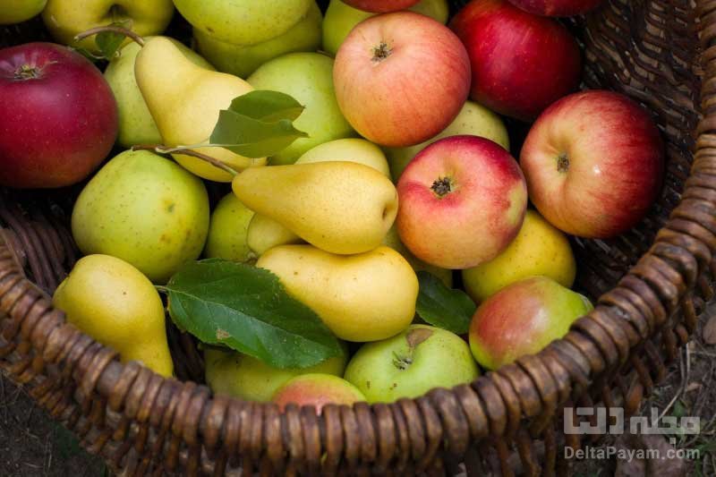 سیب و گلابی مفید برای ریه