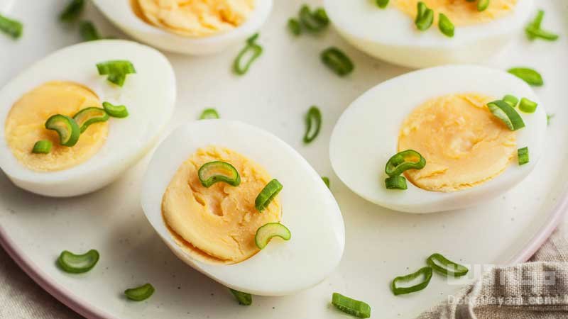 تخم مرغ ترفندهای چربی سوزی شکم