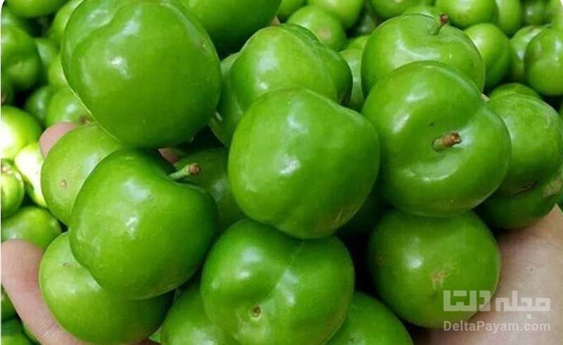 منع مصرف گوجه سبز