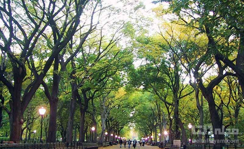 بهترین پارک های تهران برای پیک نیک