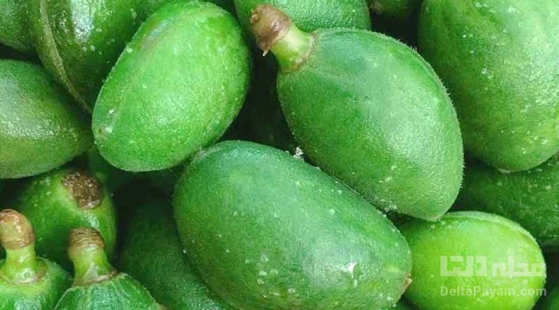 فواید و خواص چغاله بادام