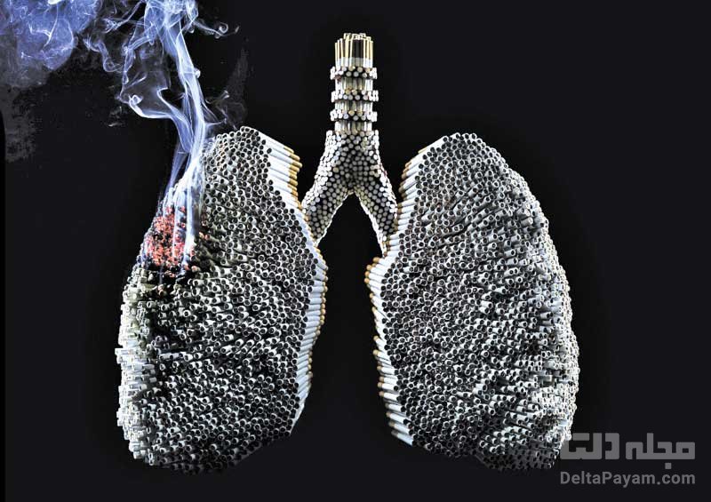 سلامت دستگاه تنفسی