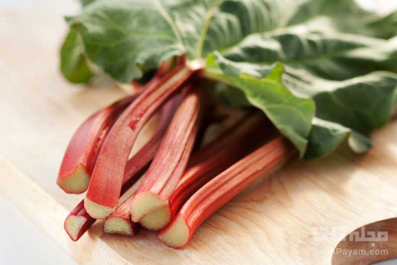 خواص و فواید ریواس چیست