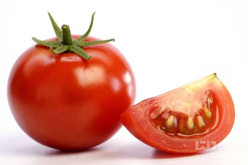 گوجه فرنگی سرشار از ویتامین D