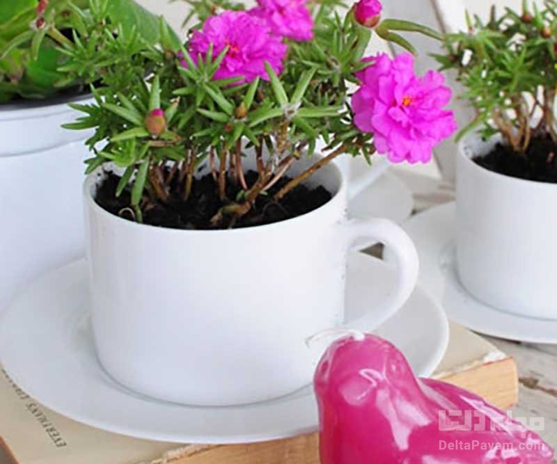 ایده های ساخت گلدان رنگی در منزل