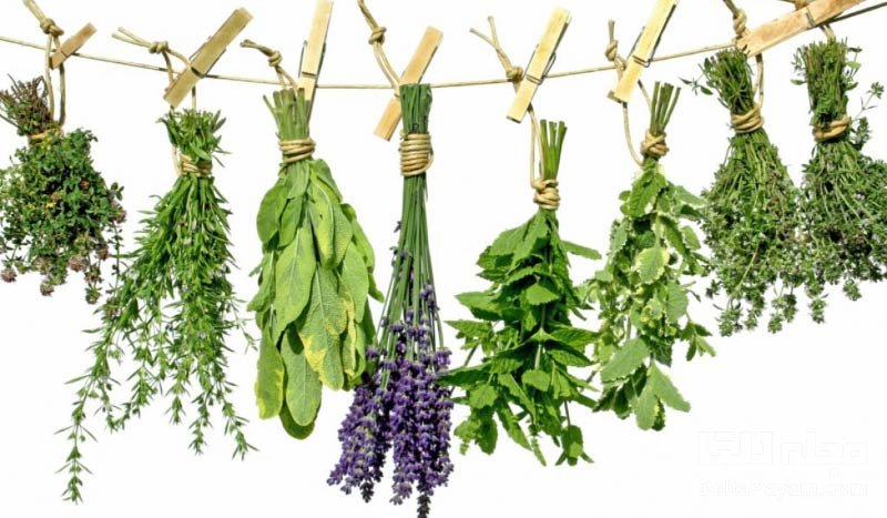 خواص سبزی خشک معطر