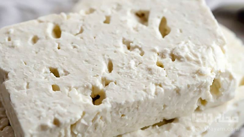 خوراکی های مفید برای استخوان، پنیر