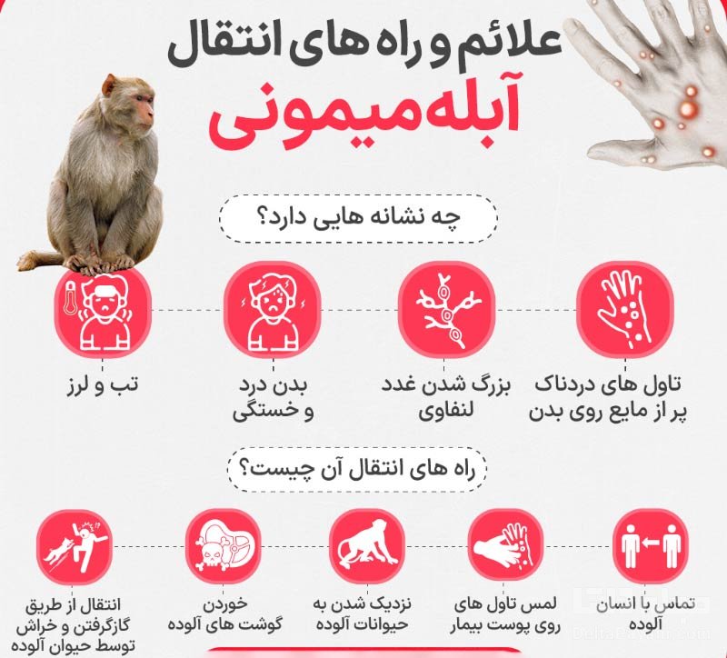 راه-انتقال-و-علائم-آبله-میمون