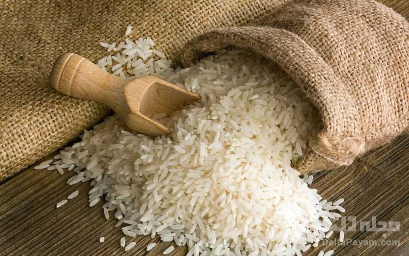 روش های تشخیص برنج ایرانی چیست