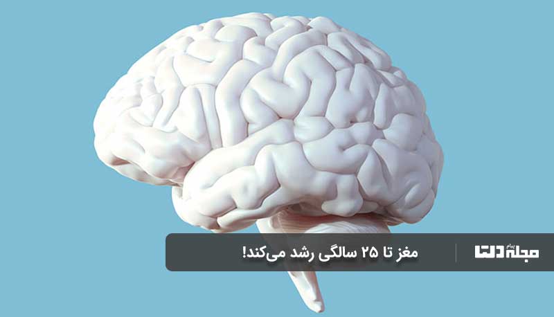 سوراخ‌های بینی در حین تنفس تغییر می‌کند