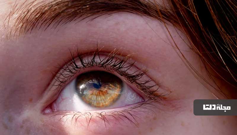 سوراخ‌های کوچک گوشه چشم عملکرد مهمی دارند