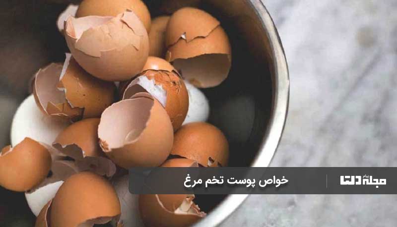 تامین کلسیم با پوست تخم مرغ