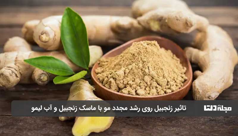 معجزه باورنکردنی زنجبیل برای پر پشت‌شدن مو