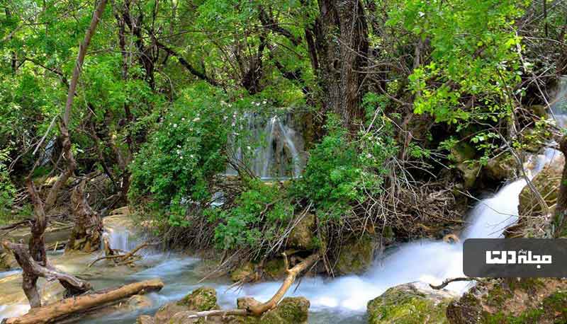 3 7 آبشار نفس‌گیر پله‌ای ایران